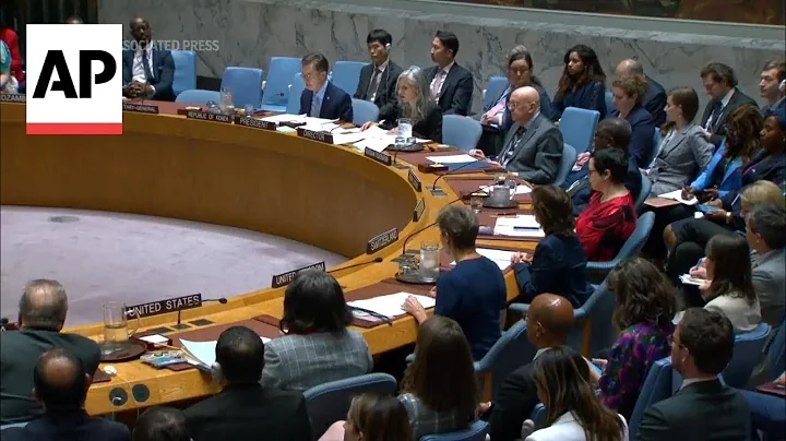 WATCH: UN Security Council adopts Gaza cease-fire resolution