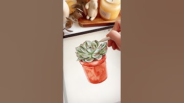 Draw with me Succulent 🪴 Realistic Watercolor Brushes for Procreate & CSP #watercolor #procreate