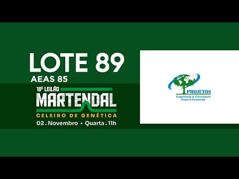 LOTE 89   AEAS 85