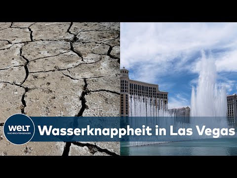 Video: Januar in Las Vegas: Wetter- und Veranst altungsleitfaden