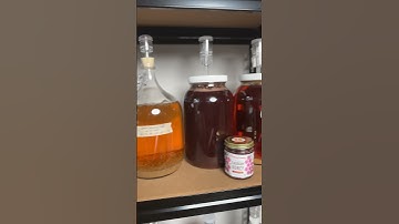 OVERVIEW OF MY MEAD PROJECTS