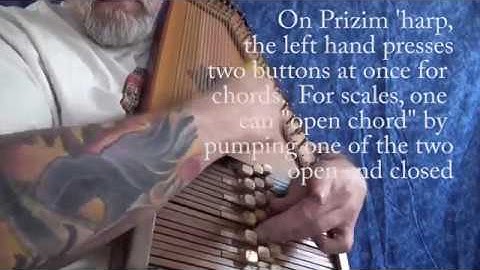 Blues: Hal Weeks on the Autoharp; SWA Stalking the Wild Autoharp