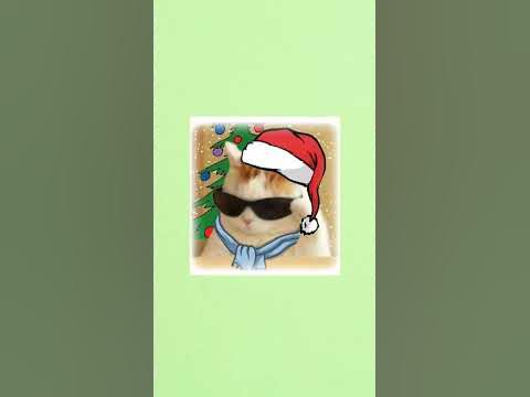новогодние авы с котом - YouTube