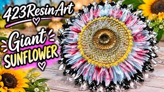 Giant sunflower bloom