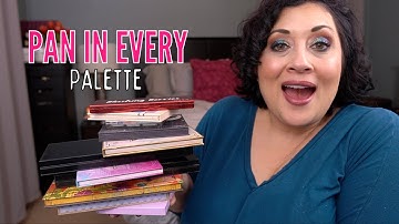 Pan in Every Palette Project Pan & Project Level Up | Update #34! #projectlevelup #panineverypalette