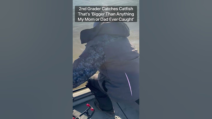 2nd Grader Catches Catfish That’s ‘Bigger Than Anything My Mom or Dad Ever Caught’