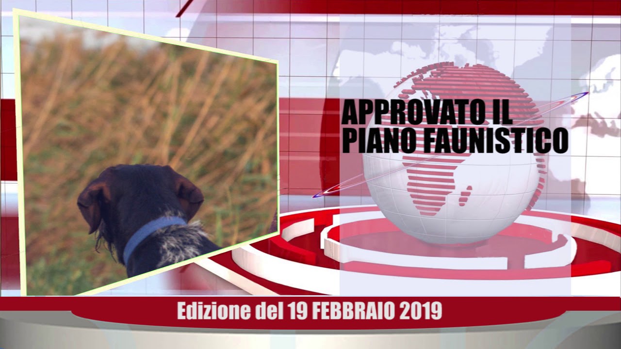 Velluto Senigallia Tg Web del 19 02 2020