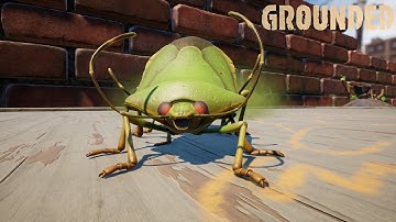 All 4 Green Shield Stink Bug Locations | Grounded