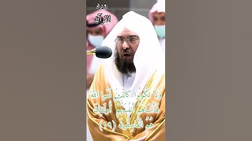 تلاوة الشيخ عبدالرحمن السديس من سورة الحشر #قرآن #عبدالرحمن_السديس