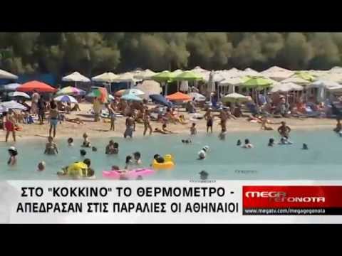 Βίντεο: Τρεις προσπάθειες να γίνει ευτυχισμένη: Γιατί η διάσημη παρουσιάστρια Άλλα Ντάνκο έβαλε τέλος στην προσωπική της ζωή