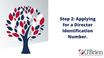 How to apply for a Director Identification Number