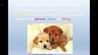 Description Text Structure