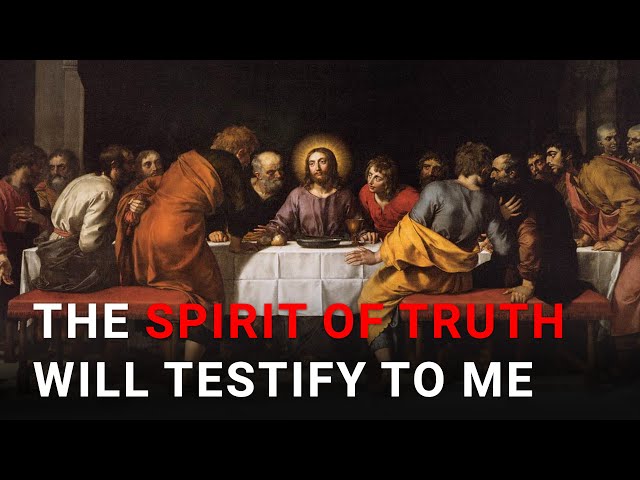 Daily IVE Homilies, May 6 2024 - The Spirit of Truth will testify to me