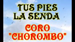 Video thumbnail of "Tus pies la senda - Coro Chorombo"