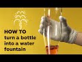 Video Tutorial Quiz