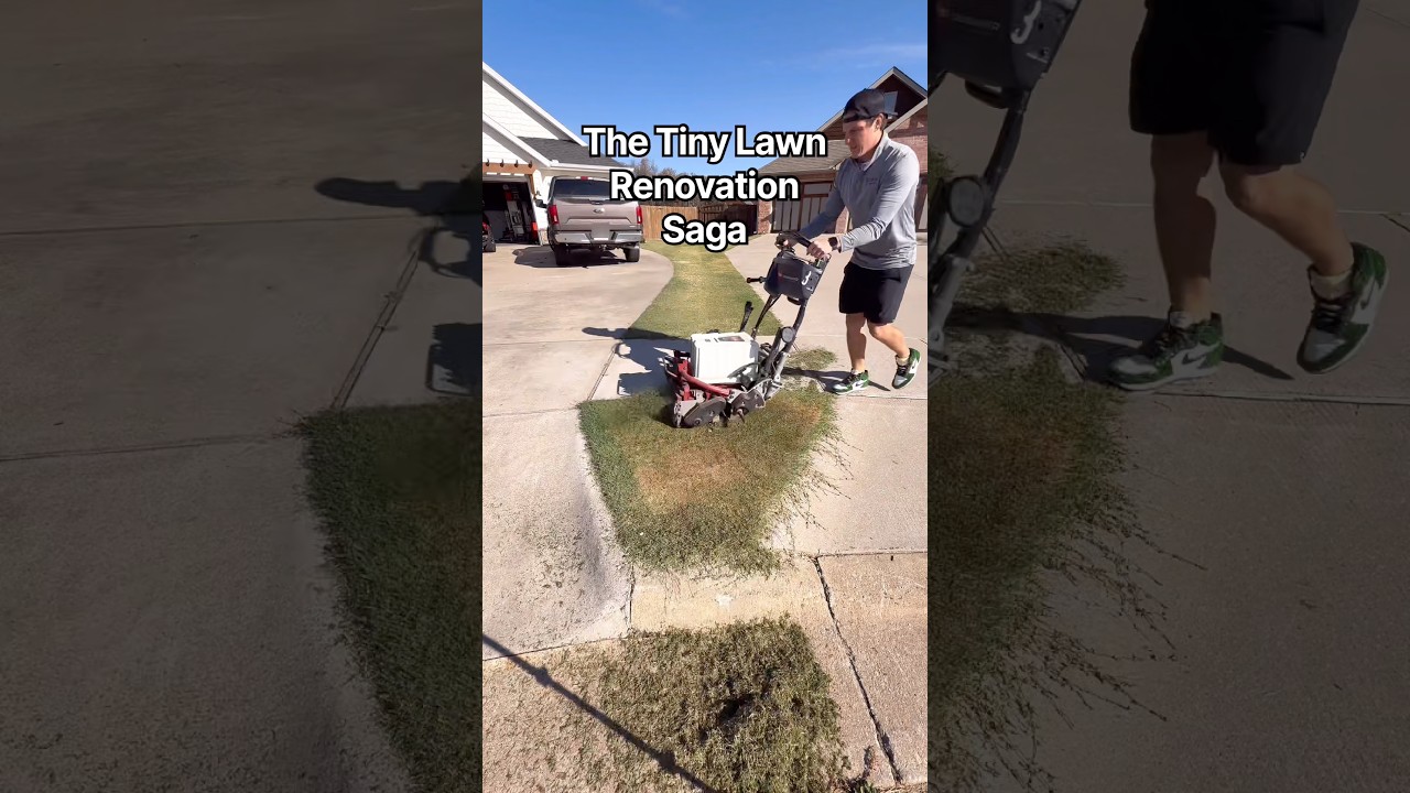 Tiny Lawn Renovation Saga