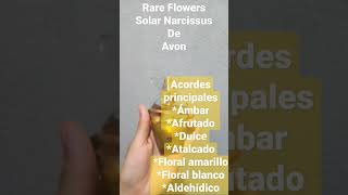 Rare Flowers Solar Narcissus De Avon 🌄🏵️