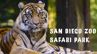 4k  San Diego Zoo Safari Park Walking Tour sandiego california wildlife zoo safari