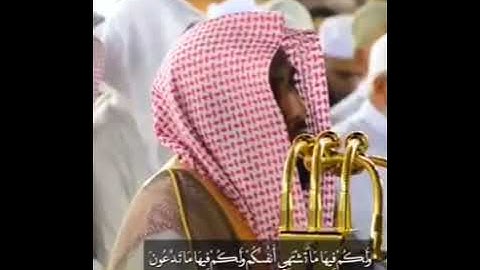 #تلاوة_خاشعة #قران_كريم #الشيخ_عبدالله_الجهني #مسجد_الحرام #الحمدلله #اسلام #سبحان_الله #اكسبلور 