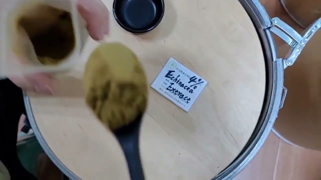 Organic Echinacea Purpurea Plant Extract Powder For Healthy Care