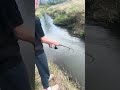 Catching trout in creek￼