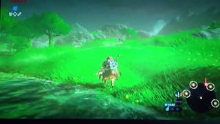 Zelda – On Switch! – Undead Lizalfos & more Lizalfos, Water Buffalo?