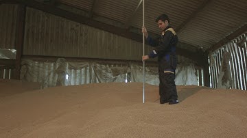 Martin Lishman Sampling Spears