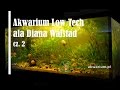Zakładanie akwarium Low Tech ala Diana Walstad cz. 2