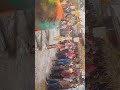 Holi special#YouTube short video#viral#travel King Ajit