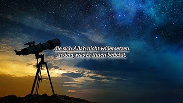 Surah At-Tahrim 6-9 #muhammadalluhaidan سورة التحريم ٦-٩ #محمداللحيدان #fy #quran  #luhaidan