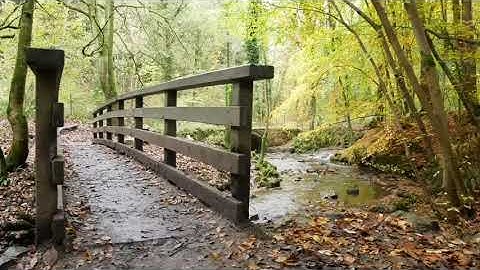 سورة النجم مكررة للقارئ هزاع البلوشي مع قراءة جميلة تعطيك شعور بالطمأنينة والسكينة