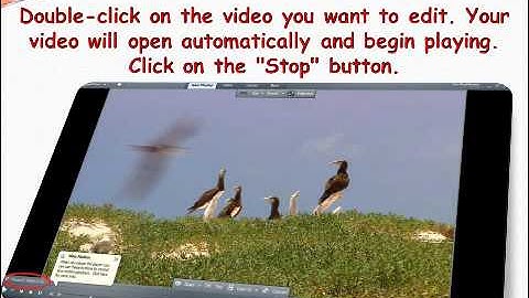 How To Cut Videos In RealPlayer