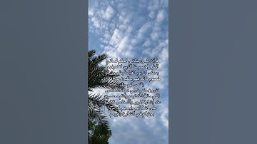 #تلاوة_خاشعة #تلاوة_هادئة #اسلام_صبحي #خواتيم_سورة_المؤمنون #سورة_المؤمنون #قرآن_كريم #اكسبلور