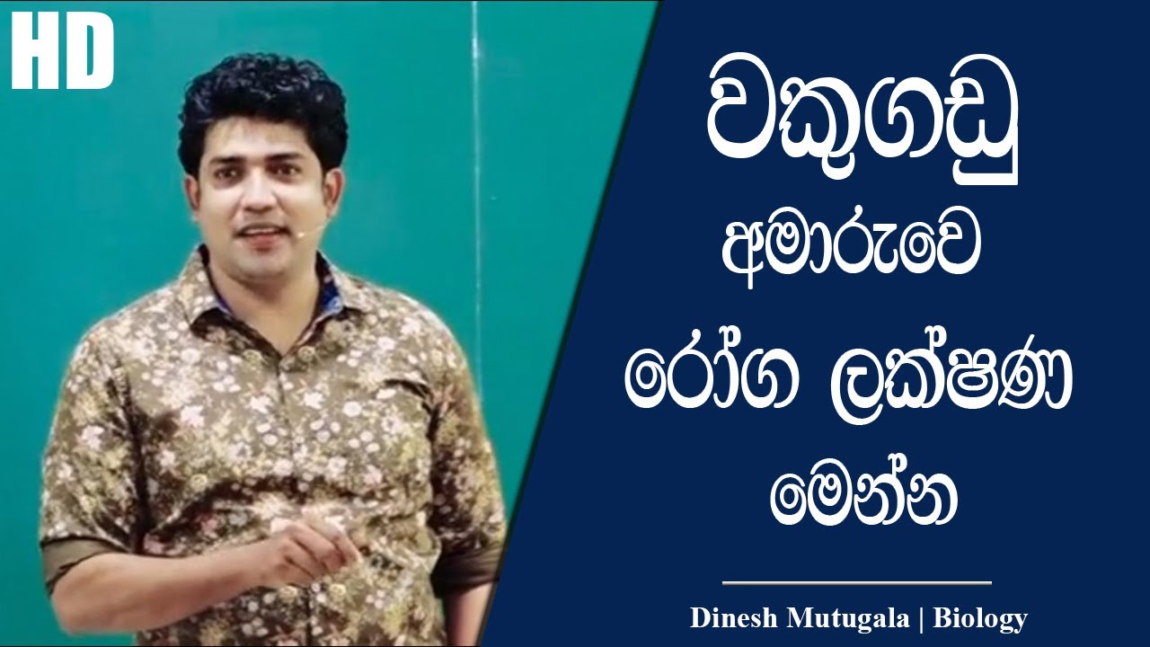 වකුගඩු අමාරුවට කොන්ද රිදෙනවද ? | Dinesh Muthugala | 