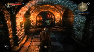 The Witcher 2: Assassins of Kings - Walkthrough [Enhanced Edition] Part 4