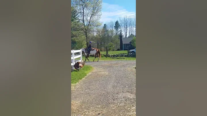 First time riding