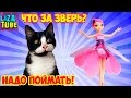 Реакция КОТА 🐱 Летающая ФЕЕЧКА 👸 Лиза и ТРИ КОТА 🌸 lizatube