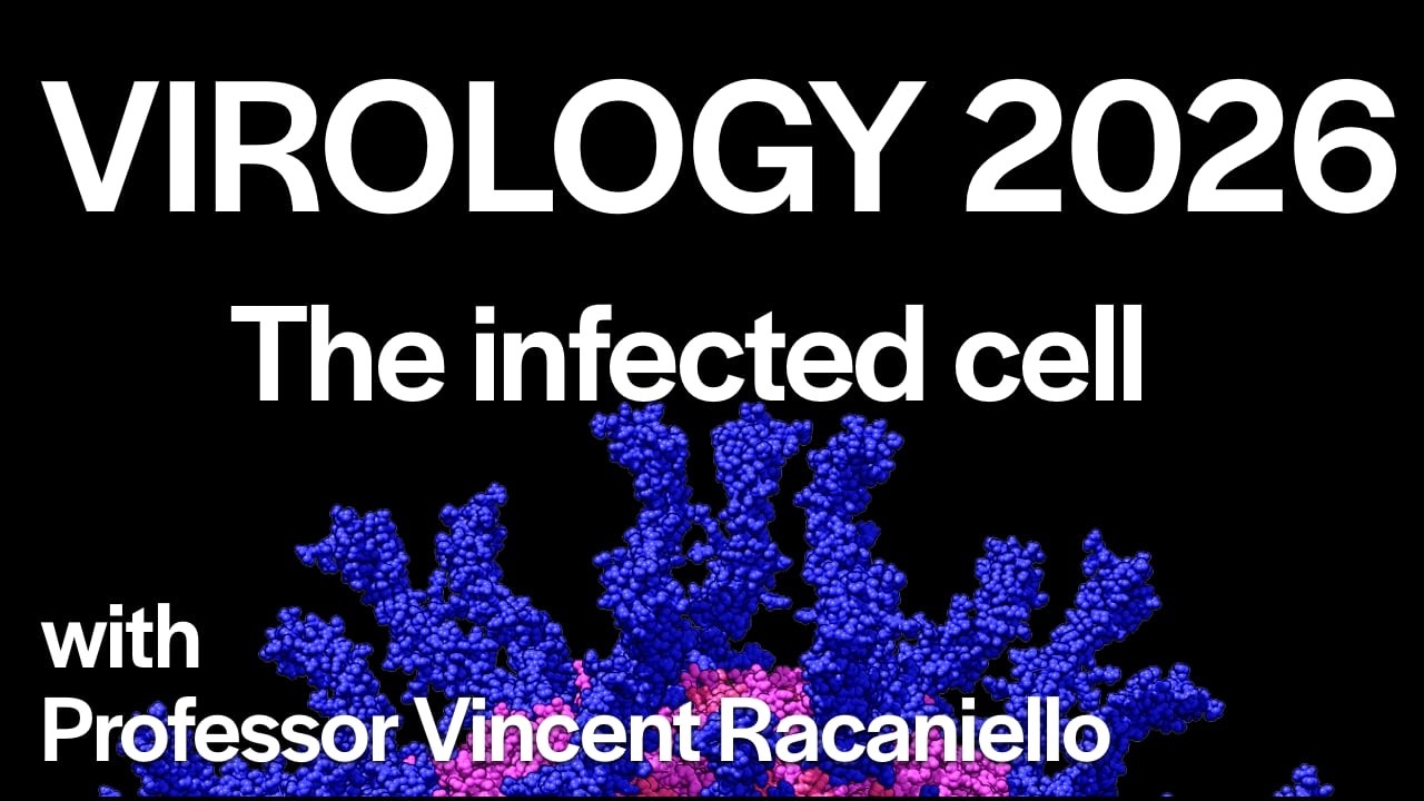Virology Lectures 2026 #11: The Infected Cell