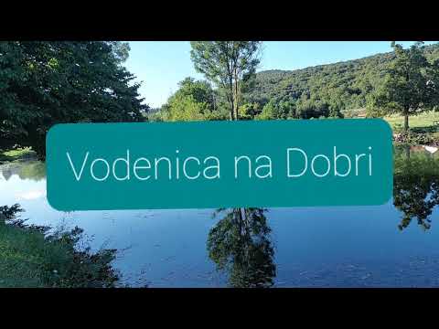 Video: Kolikokrat Na Dan Hraniti Mačko: Mesto In Država