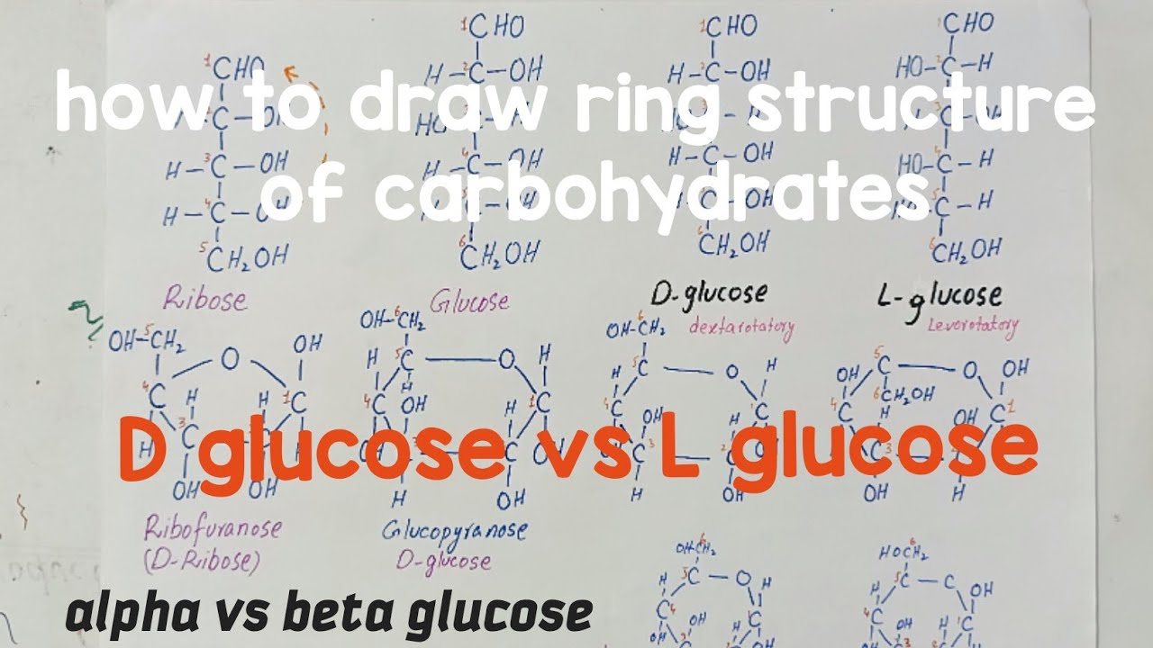 What is the structure of deoxyribose and fructose?