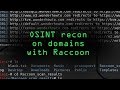 Conduct OSINT Recon on Domains with Racoon Scanner [How-To]