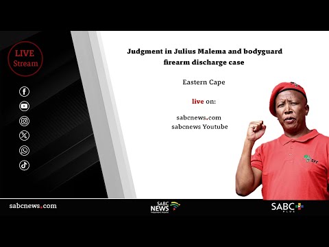 Judgment In Malema Firearm Discharge Case