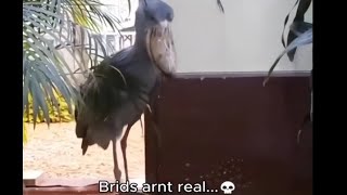 Funk Oscuro super Slowed   H6itam