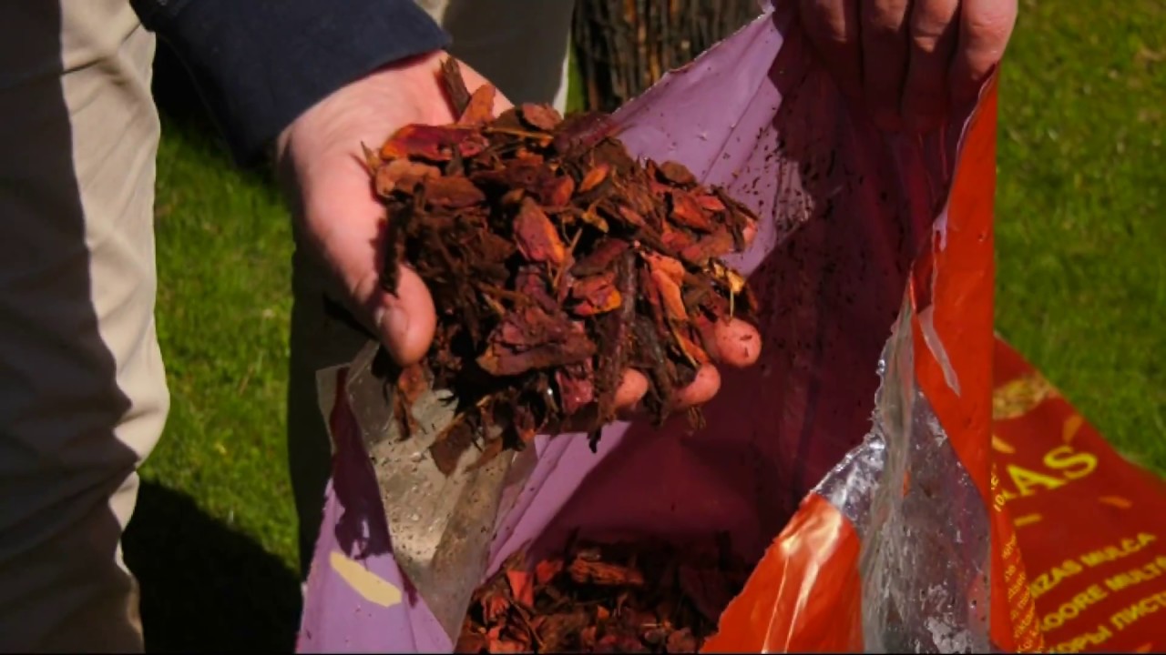 Augalų mulčiavimas