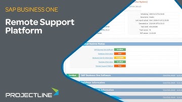 SAP Business One Remote Support Platform