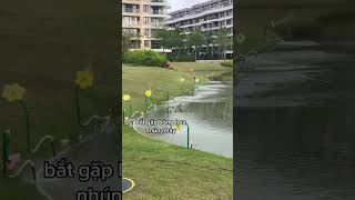 Nhảm nhí funny haihuoc short 76