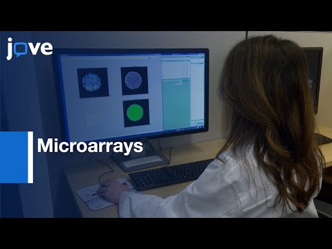 Microenvironmental Impact on Cancer Cells Analyzed by Microarrays | Protocol Preview