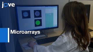 Microenvironmental Impact on Cancer Cells Analyzed by Microarrays | Protocol Preview