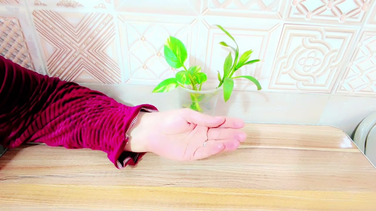 #بيتي فوضى#اطفالي متعبين#شلون ارتب يومي#ماكو وقت اهتم بنفسي #الحلول كلها يمي