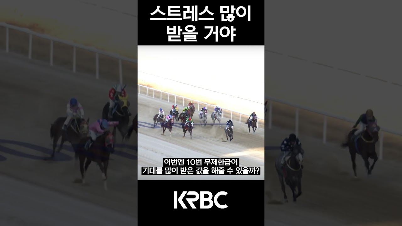 스트레스 많이 받을거야 #shorts #경마방송 #기수 #경주마 #경마 #KoreaHorseRacing #koreahorseracing